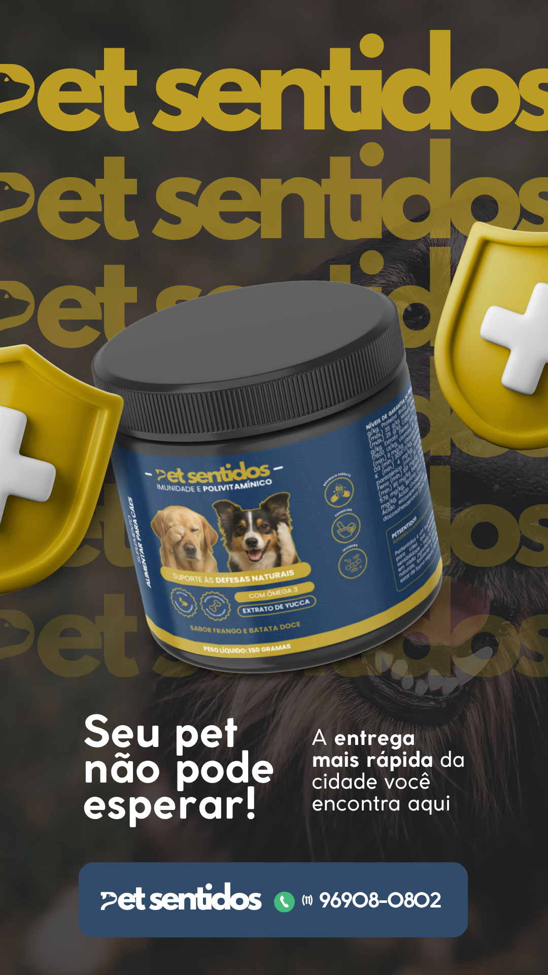 Cão olhando carinhosamente para o tutor